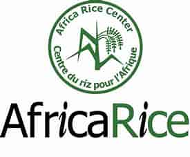 AfricaRice