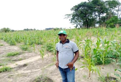 &nbsp;&nbsp;Mr. David Kolleh