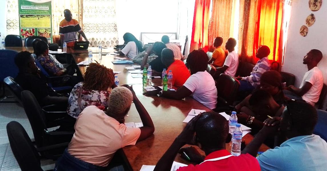 Presentation by the Eric Tokpah, one of the facilitators.