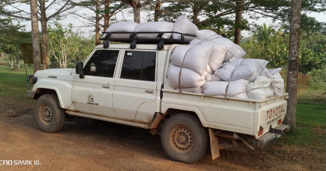 SADFONS/CARI project transports foundation rice seeds to the warehouse for storage