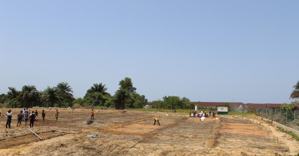 Students and cooperative farmers carried out mulching in several drip‑irrigation plots at the Best Practice Hub in Buchanan.