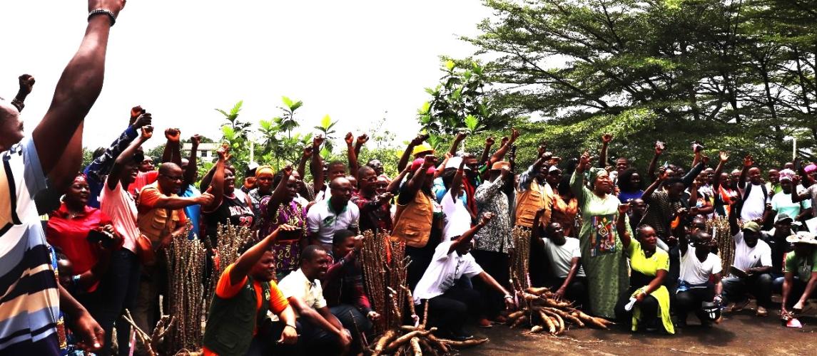 Representatives of farmers' organizations, CARI administration,, and stakeholders in the cassava value chain participated in the farmers' field day, held at CARI on July 18, 2025.
