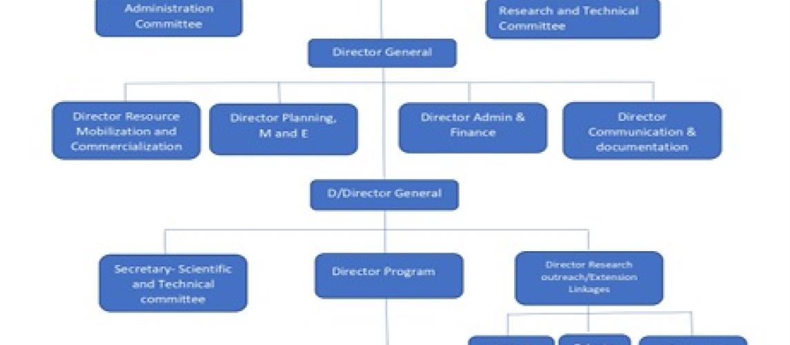 The organogram of CARI