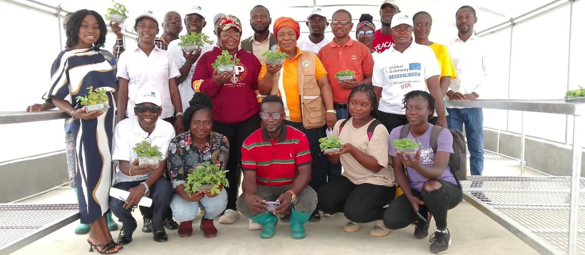 CARI, IITA Commission Revolutionary SAH Technology to Boost Cassava Production in Liberia