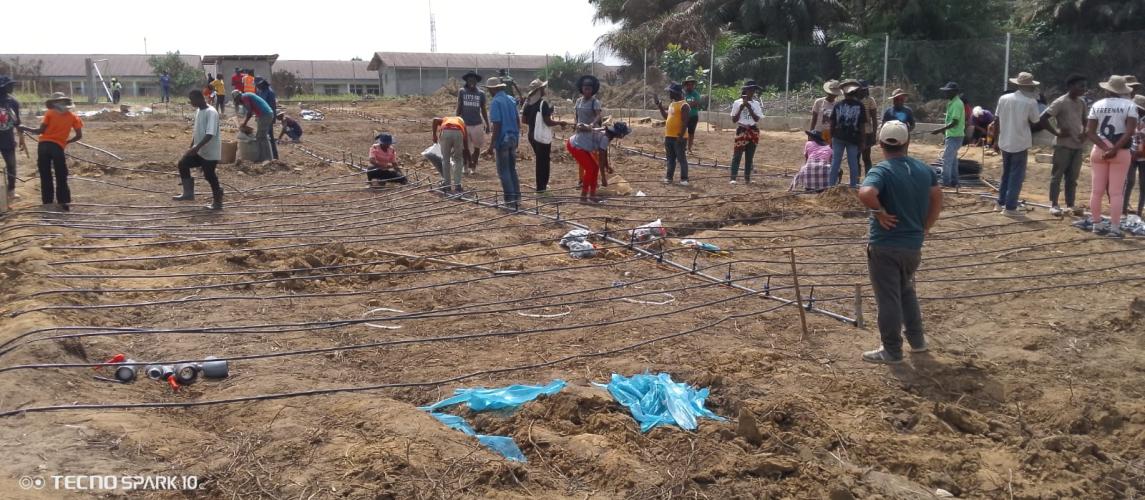 Participants from farmer cooperatives in Bong, Grand Bassa Counties and students from the Grand Bassa University installed drip irrigation systems at the Best Practice Hub in Buchanan