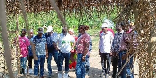 Liberia's Agriculture Minister Advocates for Rice Production Leadership at CARI